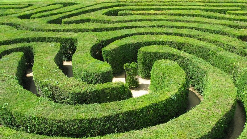 Blick auf ein grünes Labyrinth aus Buchsbaumhecken